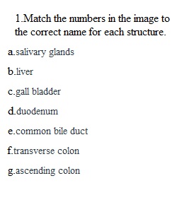 Module 8 Quiz